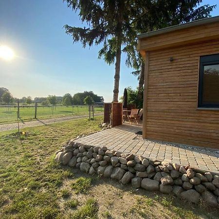 Tiny Haus Straussenblick 2 Villa Bad Fallingbostel Dış mekan fotoğraf