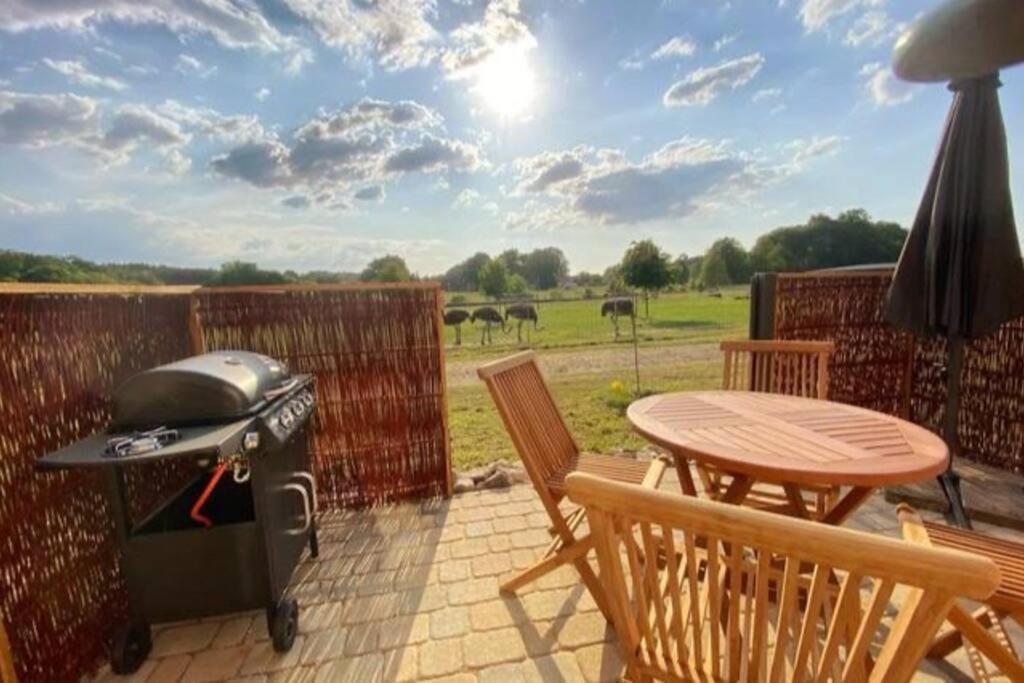 Tiny Haus Straussenblick 2 Villa Bad Fallingbostel Dış mekan fotoğraf